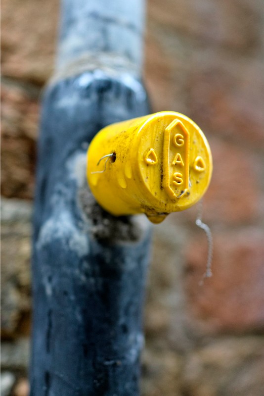 Steven Seidenberg 20